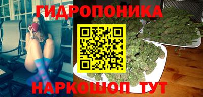 дмт Обь