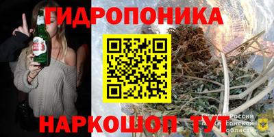 дмт Обь